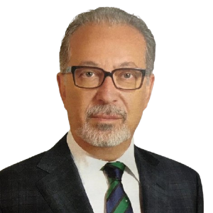 Metin Ertem